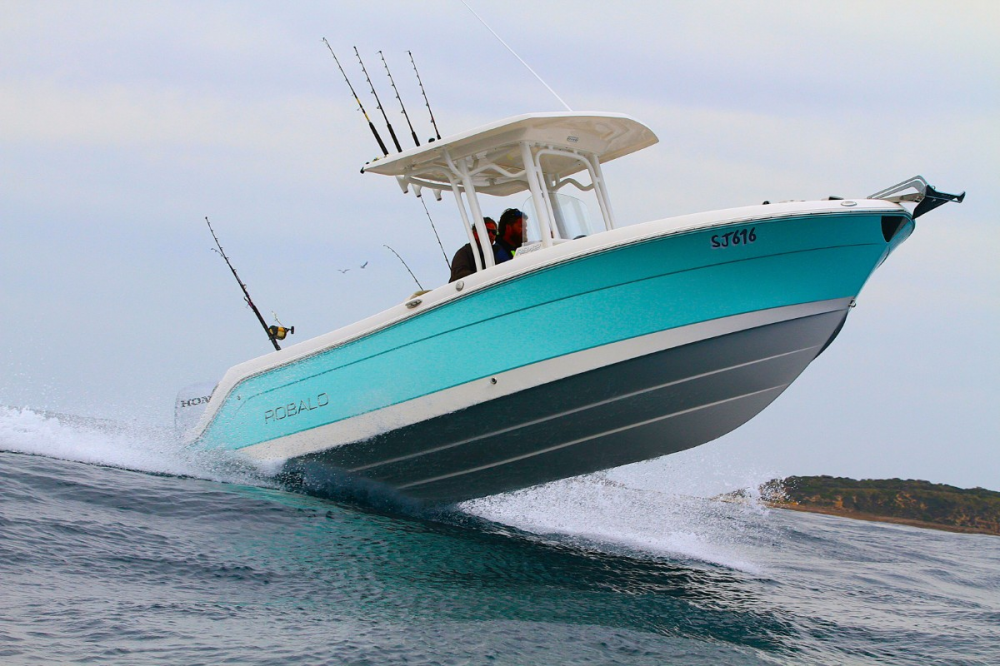 Robalo 242: Where Confidence Meets the Sea